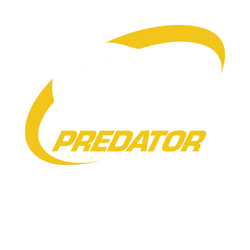 World Pro Billiard Series Logo